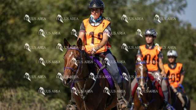 Raid-St-Bartomeu-EQUUS-AREA-057