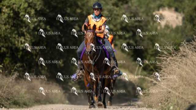 Raid-St-Bartomeu-EQUUS-AREA-058