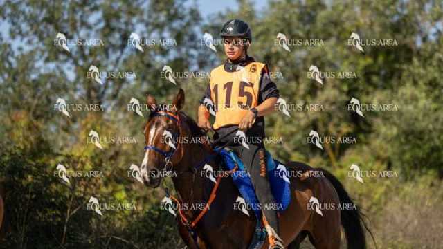 Raid-St-Bartomeu-EQUUS-AREA-059