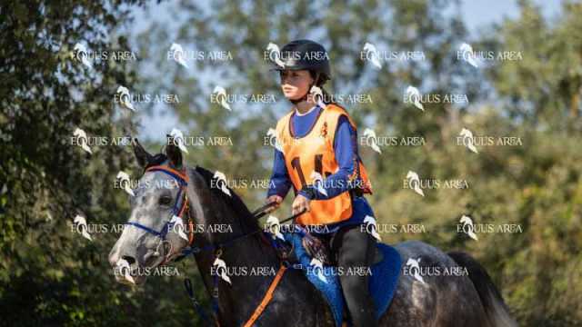 Raid-St-Bartomeu-EQUUS-AREA-062