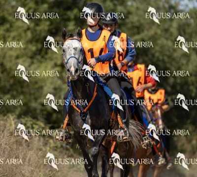 Raid-St-Bartomeu-EQUUS-AREA-063