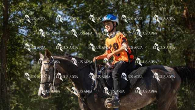Raid-St-Bartomeu-EQUUS-AREA-064