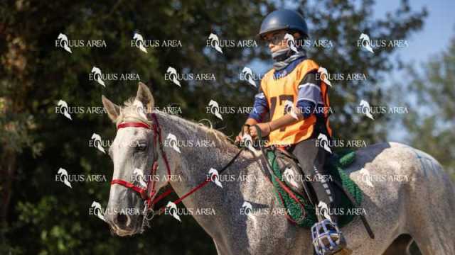 Raid-St-Bartomeu-EQUUS-AREA-065