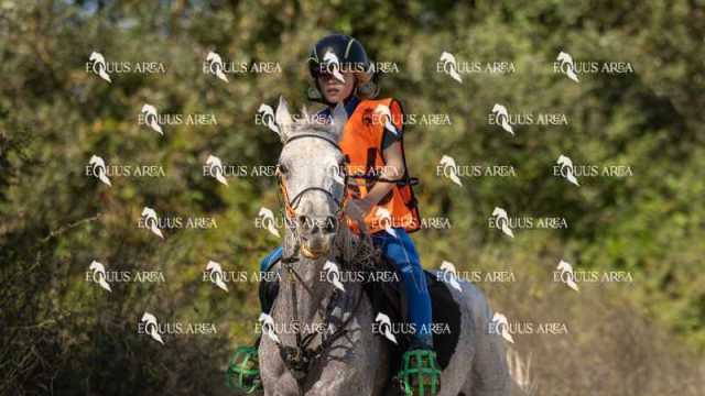 Raid-St-Bartomeu-EQUUS-AREA-067