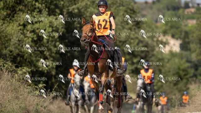 Raid-St-Bartomeu-EQUUS-AREA-074