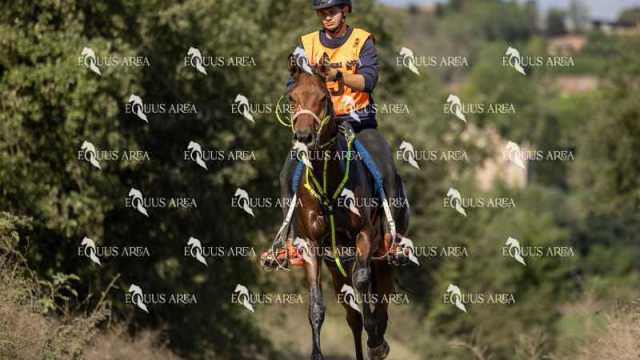Raid-St-Bartomeu-EQUUS-AREA-076