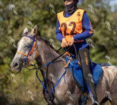 Raid-St-Bartomeu-EQUUS-AREA-081