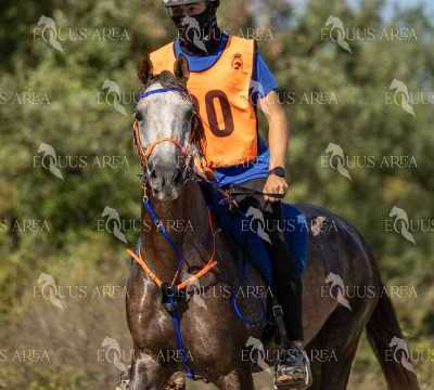 Raid-St-Bartomeu-EQUUS-AREA-082