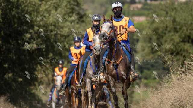 Raid-St-Bartomeu-EQUUS-AREA-083