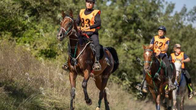Raid-St-Bartomeu-EQUUS-AREA-086