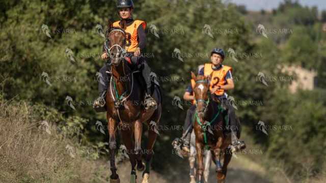 Raid-St-Bartomeu-EQUUS-AREA-087