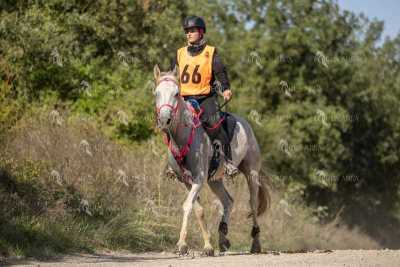 Raid-St-Bartomeu-EQUUS-AREA-092