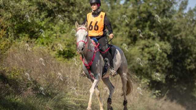Raid-St-Bartomeu-EQUUS-AREA-092