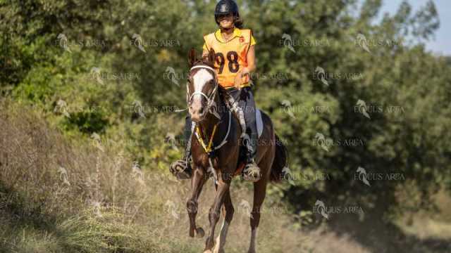 Raid-St-Bartomeu-EQUUS-AREA-094