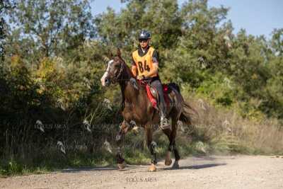 Raid-St-Bartomeu-EQUUS-AREA-096