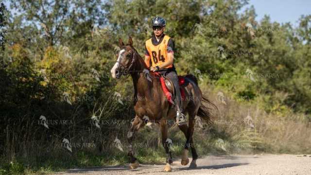 Raid-St-Bartomeu-EQUUS-AREA-096