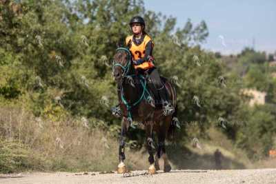 Raid-St-Bartomeu-EQUUS-AREA-098