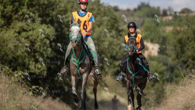 Raid-St-Bartomeu-EQUUS-AREA-100