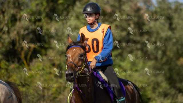 Raid-St-Bartomeu-EQUUS-AREA-106
