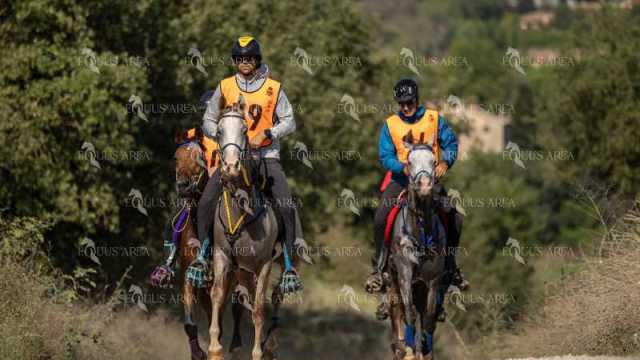 Raid-St-Bartomeu-EQUUS-AREA-108