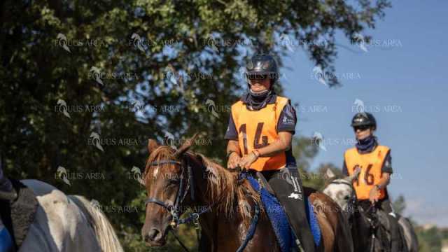 Raid-St-Bartomeu-EQUUS-AREA-110