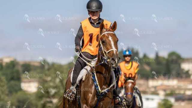 Raid-St-Bartomeu-EQUUS-AREA-115