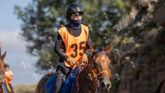 Raid-St-Bartomeu-EQUUS-AREA-120