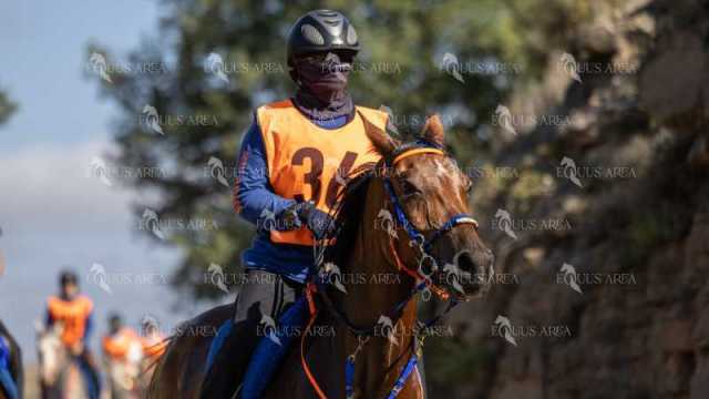 Raid-St-Bartomeu-EQUUS-AREA-123