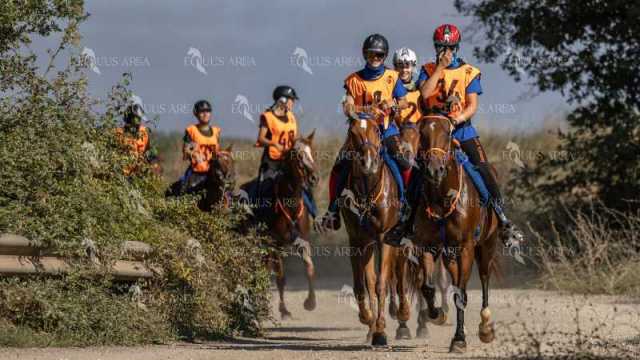 Raid-St-Bartomeu-EQUUS-AREA-127