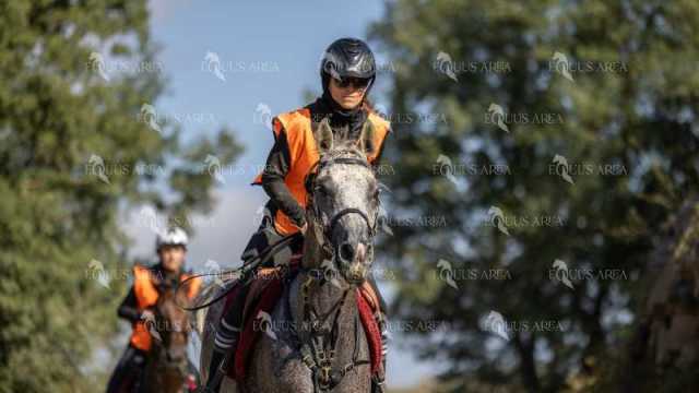 Raid-St-Bartomeu-EQUUS-AREA-129