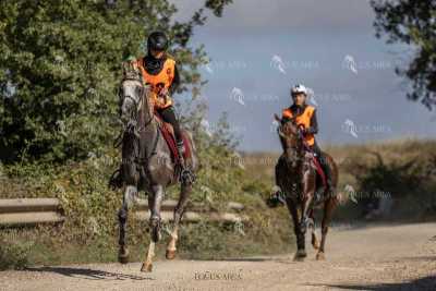 Raid-St-Bartomeu-EQUUS-AREA-130