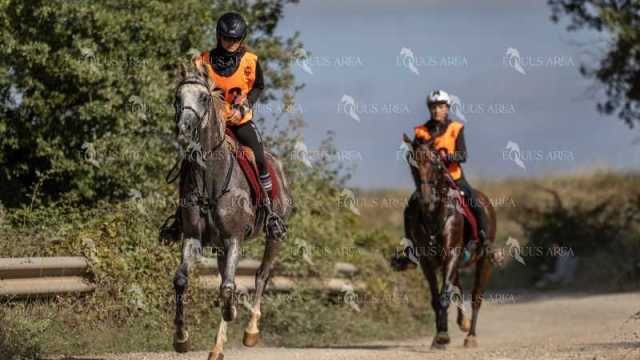 Raid-St-Bartomeu-EQUUS-AREA-130