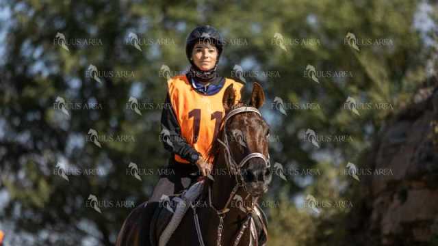 Raid-St-Bartomeu-EQUUS-AREA-137