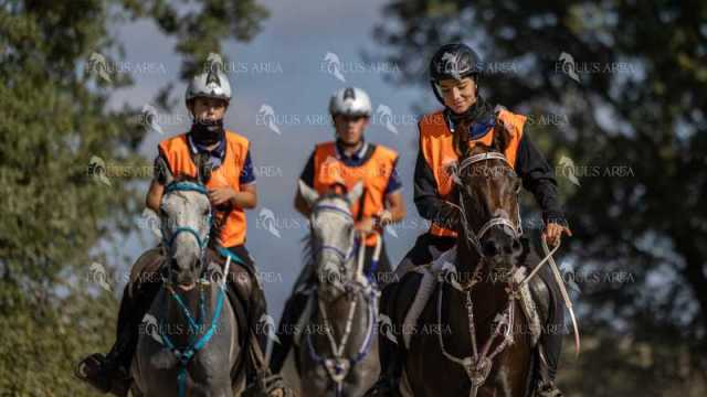 Raid-St-Bartomeu-EQUUS-AREA-138