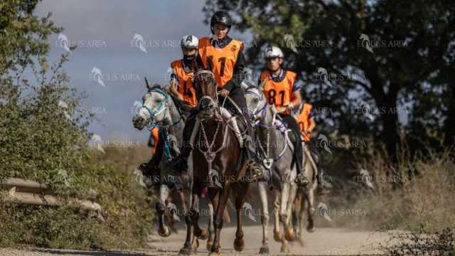 Raid-St-Bartomeu-EQUUS-AREA-139