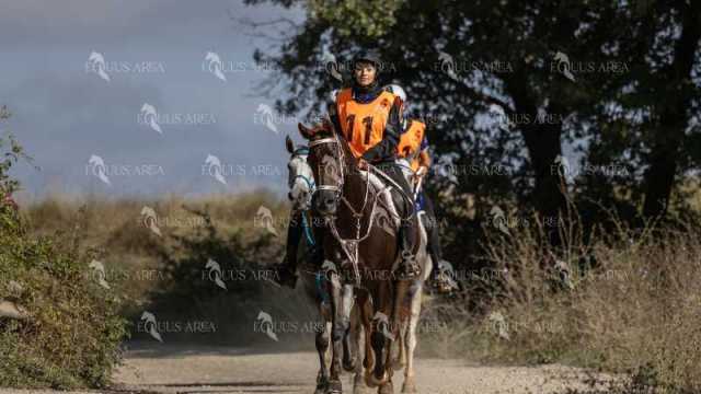 Raid-St-Bartomeu-EQUUS-AREA-140