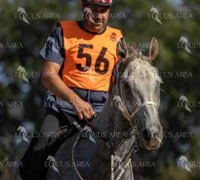 Raid-St-Bartomeu-EQUUS-AREA-141