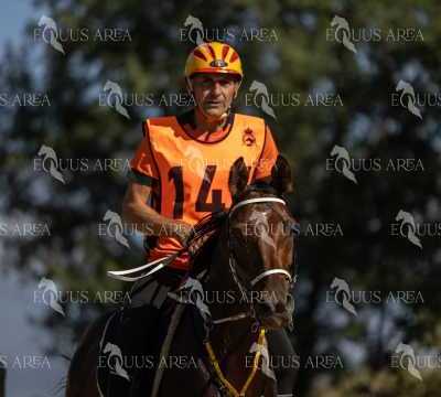 Raid-St-Bartomeu-EQUUS-AREA-142