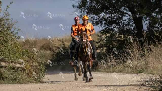 Raid-St-Bartomeu-EQUUS-AREA-144