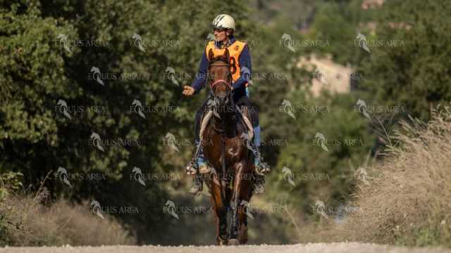 Raid-St-Bartomeu-EQUUS-AREA-150