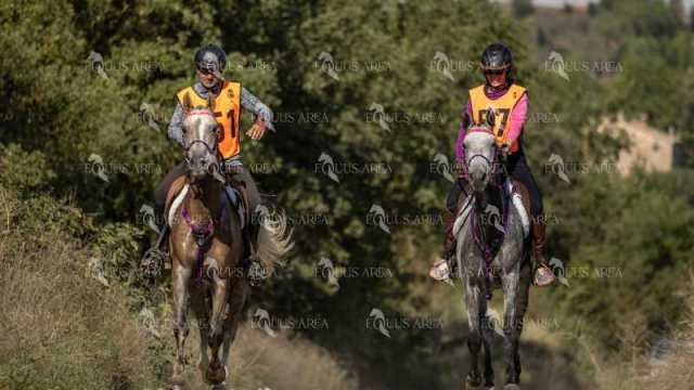 Raid-St-Bartomeu-EQUUS-AREA-153