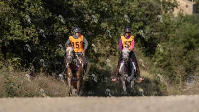 Raid-St-Bartomeu-EQUUS-AREA-154