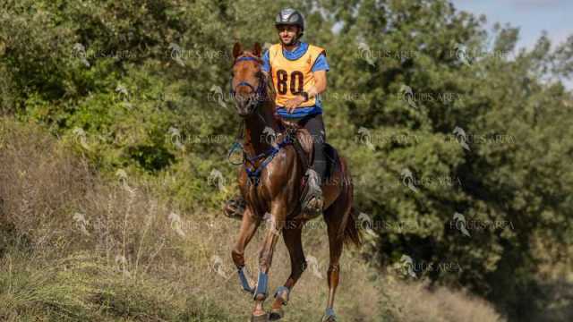 Raid-St-Bartomeu-EQUUS-AREA-156