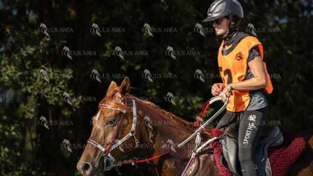 Raid-St-Bartomeu-EQUUS-AREA-158