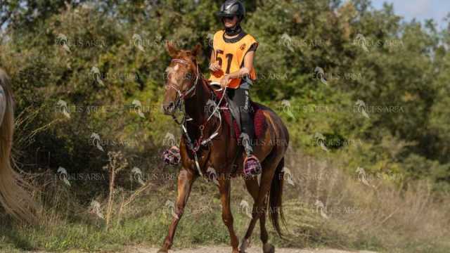 Raid-St-Bartomeu-EQUUS-AREA-159