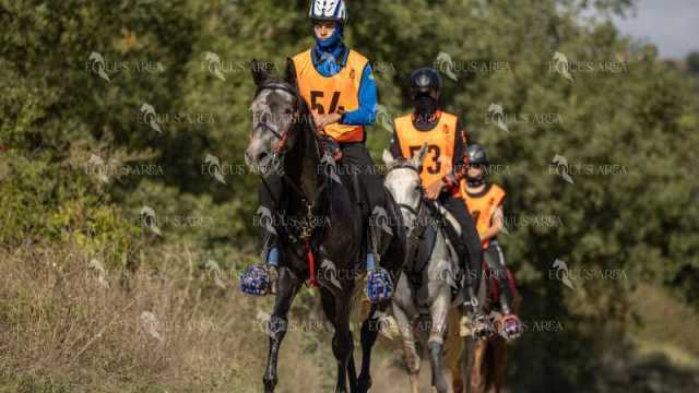 Raid-St-Bartomeu-EQUUS-AREA-161
