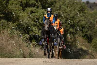 Raid-St-Bartomeu-EQUUS-AREA-162