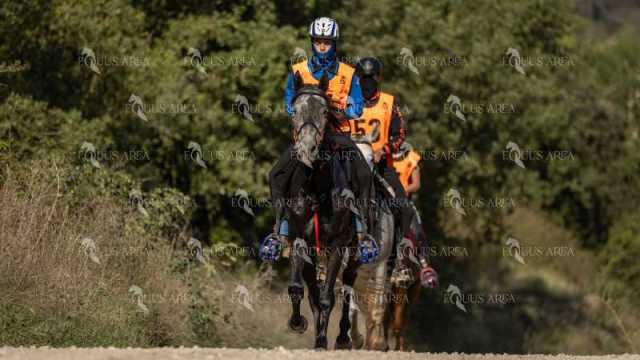 Raid-St-Bartomeu-EQUUS-AREA-162