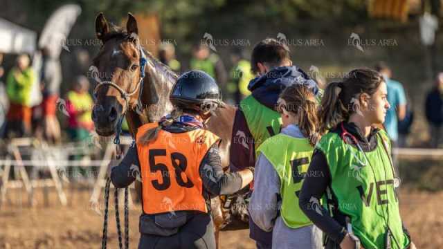 Raid-St-Bartomeu-EQUUS-AREA-164