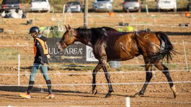 Raid-St-Bartomeu-EQUUS-AREA-165